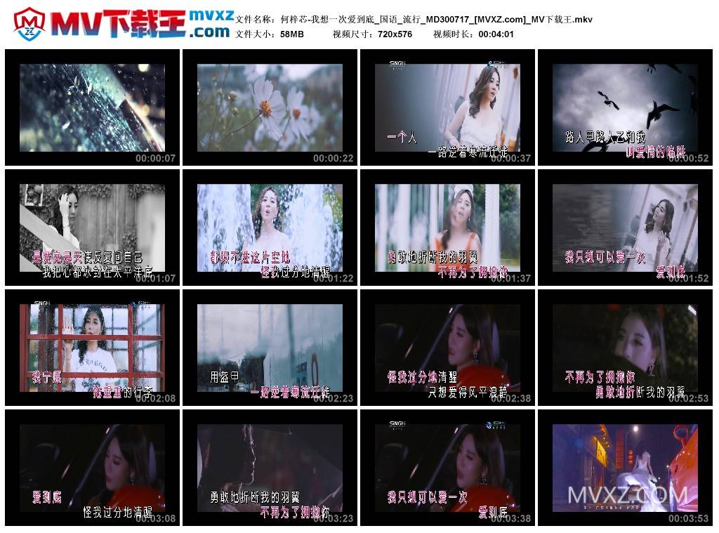 何梓芯-我想一次爱到底_国语_流行_MD300717